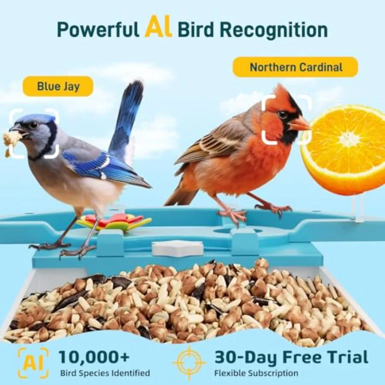 VERTRIX INNOVATIONS Smart Bird Feeder with AI Camera & WiFi